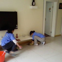 家政服務(wù) 現(xiàn)代生活的品質(zhì)助手與和諧家庭的守護者